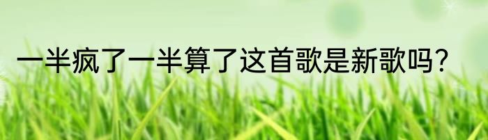 一半疯了一半算了这首歌是新歌吗？