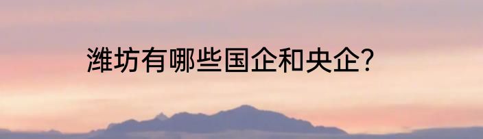 潍坊有哪些国企和央企？