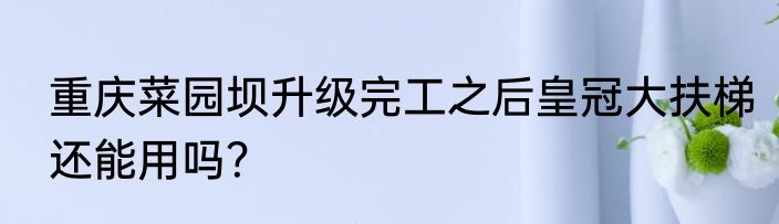 重庆菜园坝升级完工之后皇冠大扶梯还能用吗？