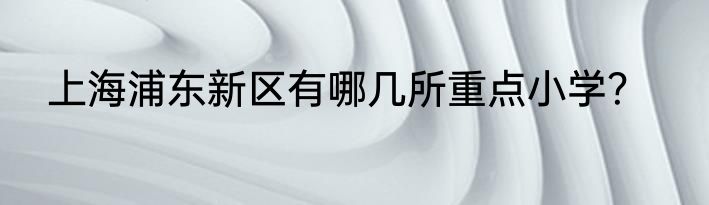 上海浦东新区有哪几所重点小学？