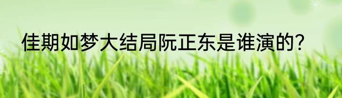 佳期如梦大结局阮正东是谁演的？