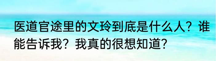 医道官途里的文玲到底是什么人？谁能告诉我？我真的很想知道？