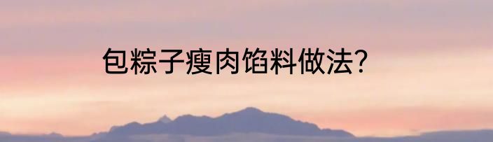 包粽子瘦肉馅料做法？