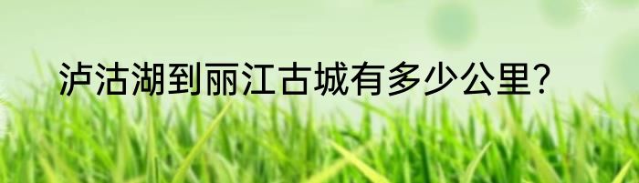 泸沽湖到丽江古城有多少公里？