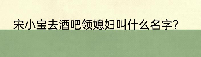 宋小宝去酒吧领媳妇叫什么名字？
