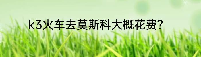 k3火车去莫斯科大概花费？