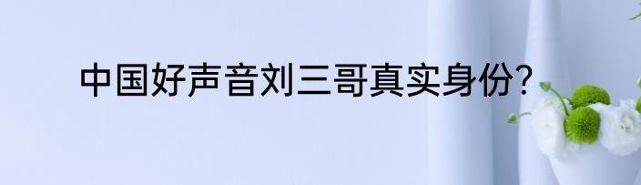 中国好声音刘三哥真实身份？