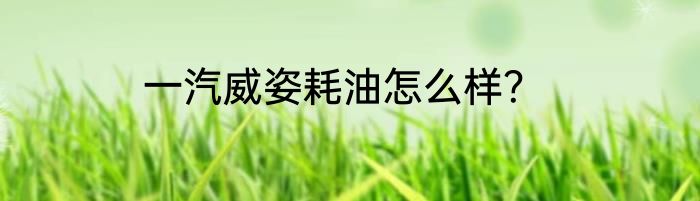 一汽威姿耗油怎么样？