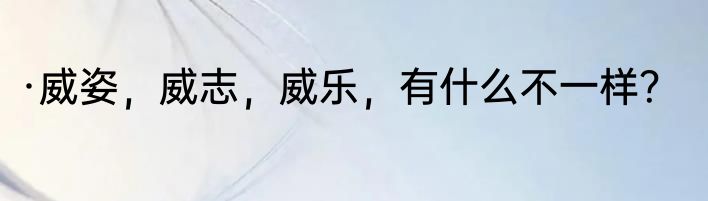 ·威姿，威志，威乐，有什么不一样？