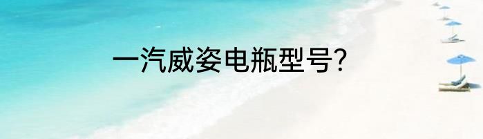 一汽威姿电瓶型号？