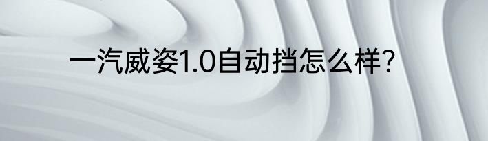 一汽威姿1.0自动挡怎么样？
