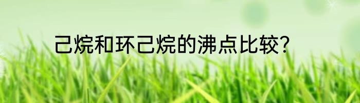 己烷和环己烷的沸点比较？