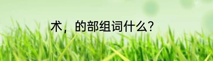 术，的部组词什么？