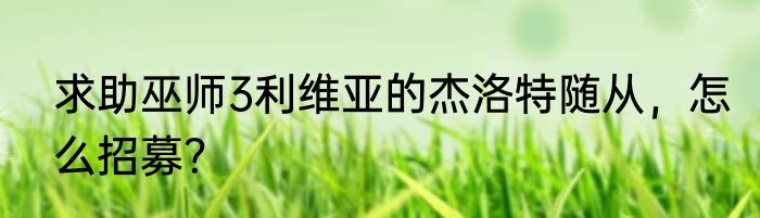 求助巫师3利维亚的杰洛特随从，怎么招募？