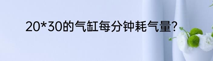 20*30的气缸每分钟耗气量？
