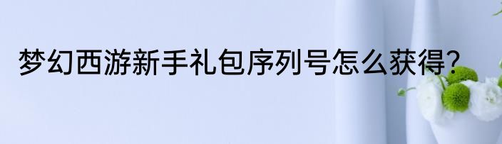 梦幻西游新手礼包序列号怎么获得？