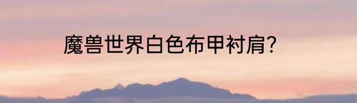 魔兽世界白色布甲衬肩？