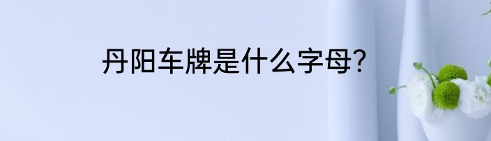 丹阳车牌是什么字母？