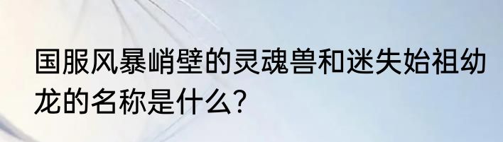 国服风暴峭壁的灵魂兽和迷失始祖幼龙的名称是什么？