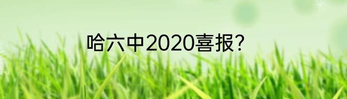 哈六中2020喜报？