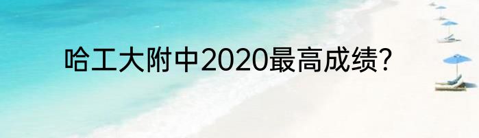 哈工大附中2020最高成绩？