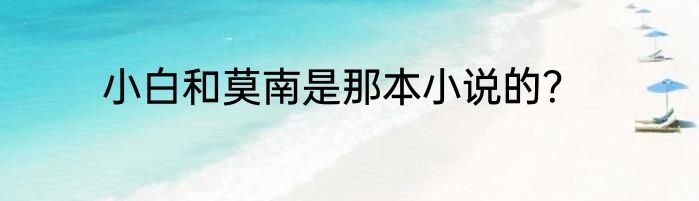 小白和莫南是那本小说的？