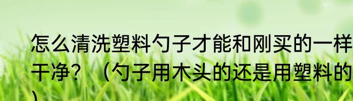 怎么清洗塑料勺子才能和刚买的一样干净？（勺子用木头的还是用塑料的？）