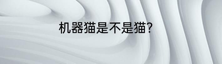 机器猫是不是猫？