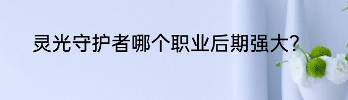灵光守护者哪个职业后期强大？
