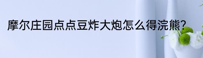 摩尔庄园点点豆炸大炮怎么得浣熊？