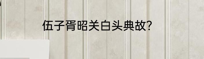 伍子胥昭关白头典故？