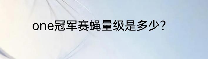 one冠军赛蝇量级是多少？