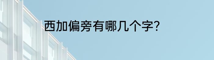 西加偏旁有哪几个字？