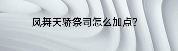 凤舞天骄祭司怎么加点？