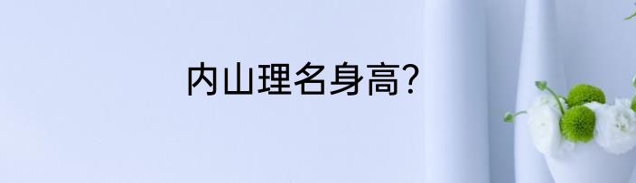 内山理名身高？