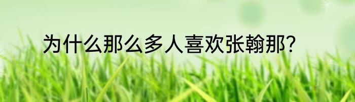 为什么那么多人喜欢张翰那？