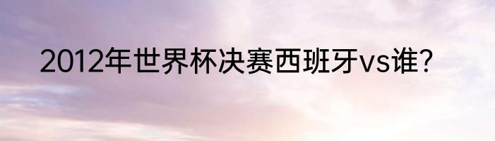 2012年世界杯决赛西班牙vs谁？