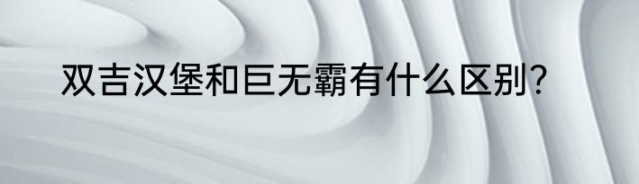 双吉汉堡和巨无霸有什么区别？
