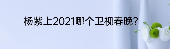 杨紫上2021哪个卫视春晚？