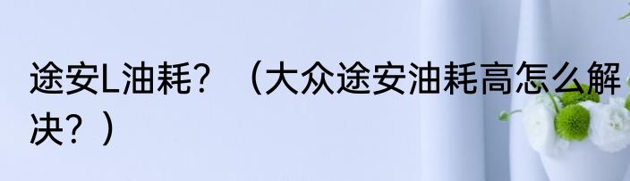 途安L油耗？（大众途安油耗高怎么解决？）