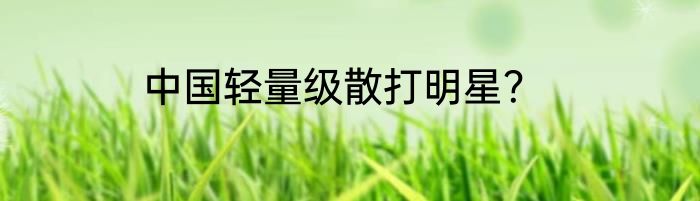 中国轻量级散打明星？