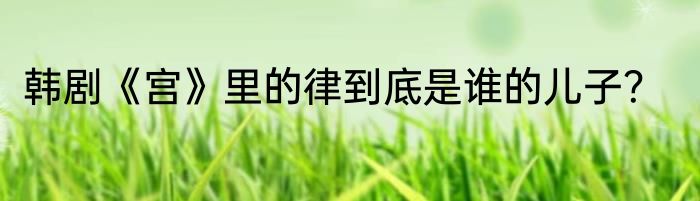 韩剧《宫》里的律到底是谁的儿子？