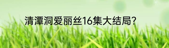 清潭洞爱丽丝16集大结局？