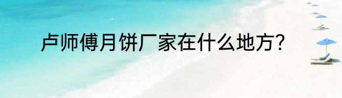 卢师傅月饼厂家在什么地方？