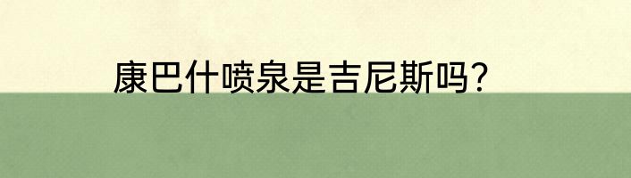 康巴什喷泉是吉尼斯吗？
