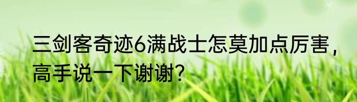 三剑客奇迹6满战士怎莫加点厉害，高手说一下谢谢？
