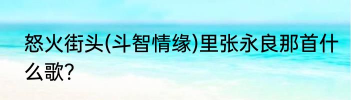 怒火街头(斗智情缘)里张永良那首什么歌？
