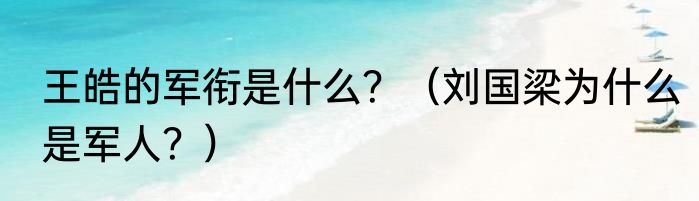 王皓的军衔是什么？（刘国梁为什么是军人？）