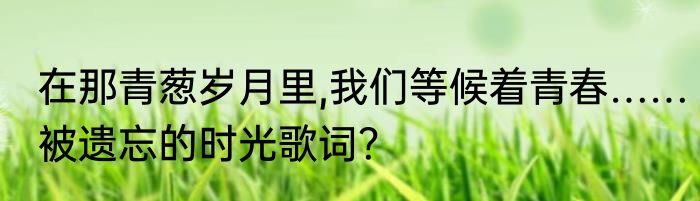 在那青葱岁月里,我们等候着青春……被遗忘的时光歌词？
