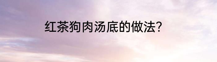 红茶狗肉汤底的做法？